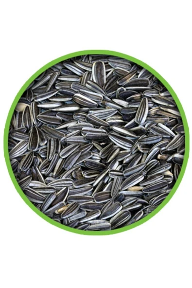 grpet Küçük Cizgili Çekirdek 500 Gr ürün görseli 1