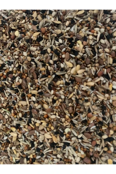 Versele Laga Kondisyon Sağlık Tohumu 250 gr ürün görseli