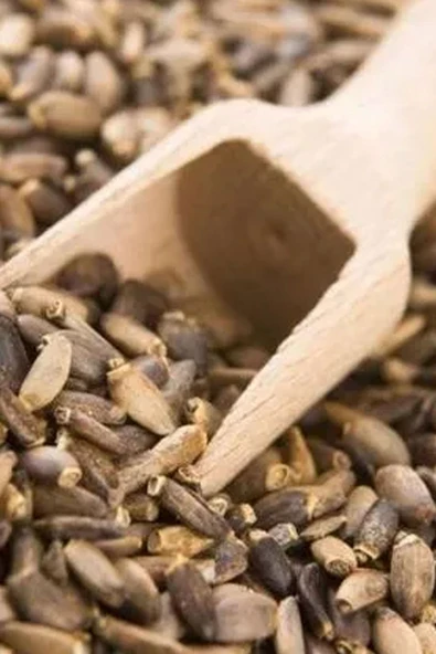 Petdoys Kuşlarınızın Yaşam Kaynağı Mikro Deve Dikeni Tohumu - 250 Gram ürün görseli 1