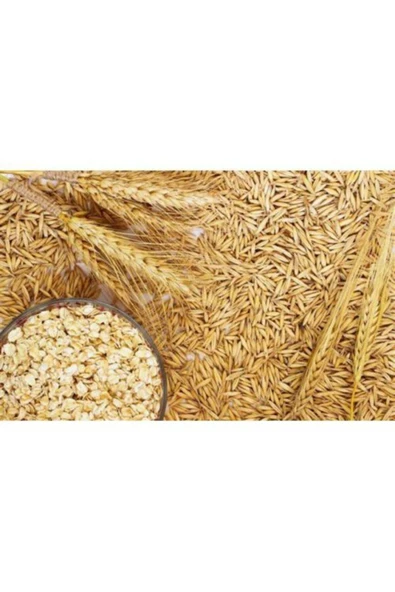 Vivid Soyulmuş Yulaf 1 Kg ürün görseli 1