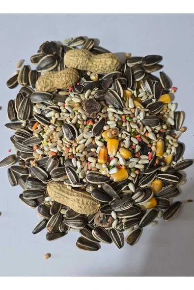 Nature Plan Jako Amazon Kakadu Papağanı Yemi Açık 1 Kg - Resim 3