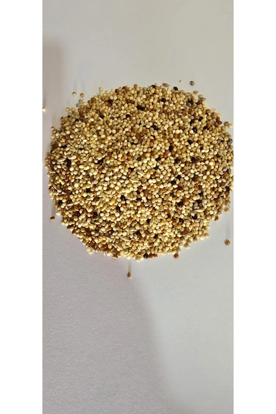 Ankara Yem Evi Hint Bülbülü Gouldin Finch Ispinoz Yemi 1 Kg