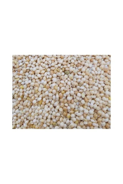 Gold Wings Ak Darı Kafes Kuşları Ortak Yemi 1 kg ürün görseli 1