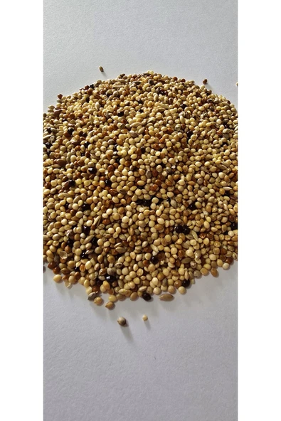 Ankara Yem Evi Hint Bülbülü Gouldin Finch Ispinoz Yemi 1 Kg - 2