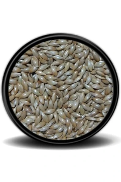 724 PET MARKET Vivid Sade Kanarya Yemi Aspur 500 Gr ürün görseli 1