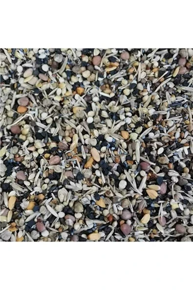 Natural King Yabani Sağlık Tohumu 500gr ürün görseli 1