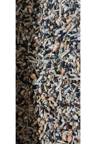 Versele Laga Yabani Sağlık Tohumu 500 Gr ürün görseli 1