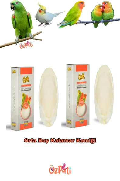 Quik Mürekkep Balığı Kemiği ( Kalamar) Orta Boy 2 Adet ürün görseli 1