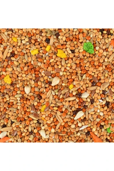 Quik Konuşturucu Yem 150 Gr - Resim 2