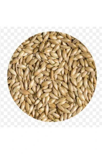 Quik Aspur Kuş Yemi 300 gr ürün görseli 1