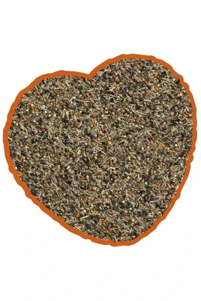 Duvo Plus Yabani Kondisyon Ve Sağlık Tohumu Karışımı 500 gr ürün görseli 1