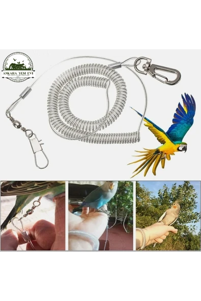 Ankara Yem Evi Caique Monk Alexander Pakistan Rozella Eklektus Güneş Konur Papağanı Açık Hava Gezinti Aparatı ürün görseli