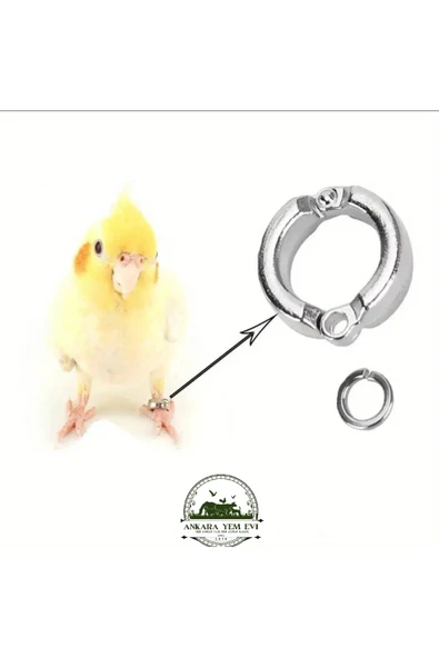 Ankara Yem Evi Caique Monk Alexander Pakistan Rozella Eklektus Güneş Konur Papağanı Açık Hava Gezinti Aparatı - Resim 2