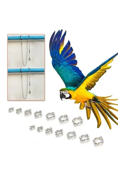 Ankara Yem Evi Jako Kakadu Ve Amazon Papağanı Açık Hava Gezinti Aparatı ürün görseli