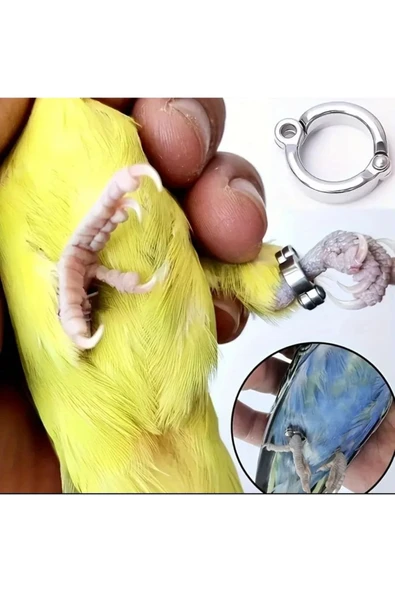 Ankara Yem Evi Sultan Papağanı Konur Papağanı Rozella Papağanı Açık Hava Gezinti Aparatı ürün görseli 1