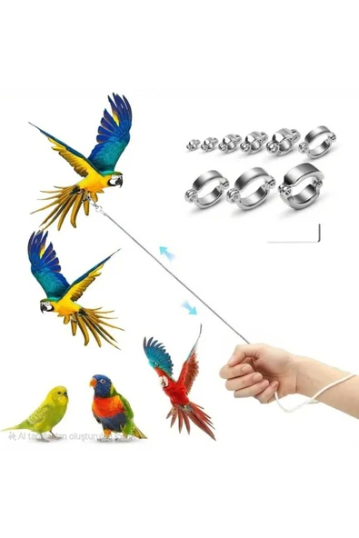 Ankara Yem Evi Makav Papağanı Açık Hava Gezinti Aparatı - Resim 2