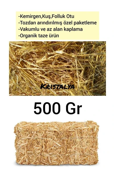 Canbay Doğal Ürünle 500 gr Arpa Samanı - Kemirgen Otu - Kuş Otu - Folluk Otu - Sürüngen Otu - Yavrulama Altlığı - 1