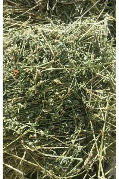 Kuru Yonca Kemirgen Otu 1,5 Kg Bol Çiçekli - 1