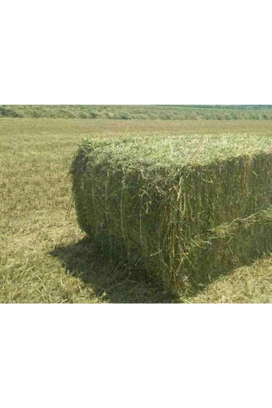 Canbay Doğal Ürünler Yonca Kemirgen Otu 5 Kg - 1