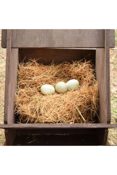 1kg Arpa Samanı - Kemirgen Otu - Kuş Otu - Folluk Otu - Sürüngen Otu - Yavrulama Altlığı - 3
