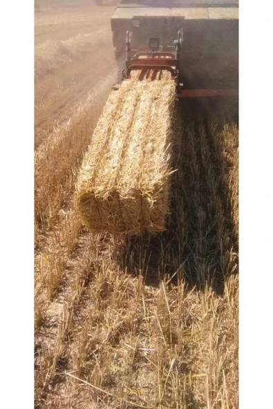 Canbay Dogal Urunler 2 Kg Balya Saman Arpa Buğday - 3