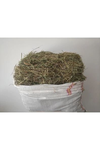 Canbay Doğal Ürünler  3 kg Kuru Yonca Otu, Kemirgen Otu (CHİNCHİLLA, TAVŞAN, GİNEPİG, HAMSTER İÇİN) 2kg - 2