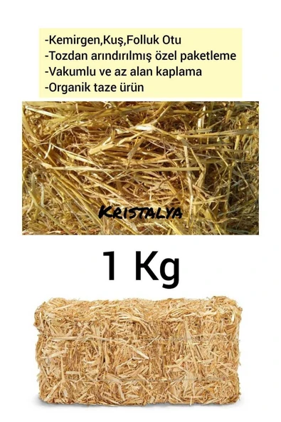 Canbay Doğal Ürünler 1 Kg Arpa Samanı - Kemirgen Otu - Kuş Otu - Folluk Otu - Sürüngen Otu - Yavrulama Altlığı - 1