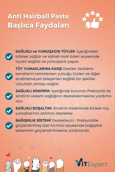 Vitexpert 2'li Set Sindirim Destekleyici Malt Macun Paketi Bağırsak Mide Sağlığı İçin Multi Vitamin Özel Paket - 5