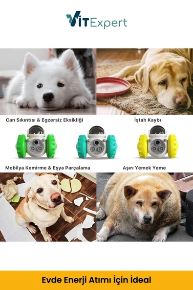 Vitexpert Yeni Nesil Köpek İnteraktif Mama Dağıtıcı Oyun Topu Mama Saklamalı Otomatik Ödül Maması Atıcı Robot - 2