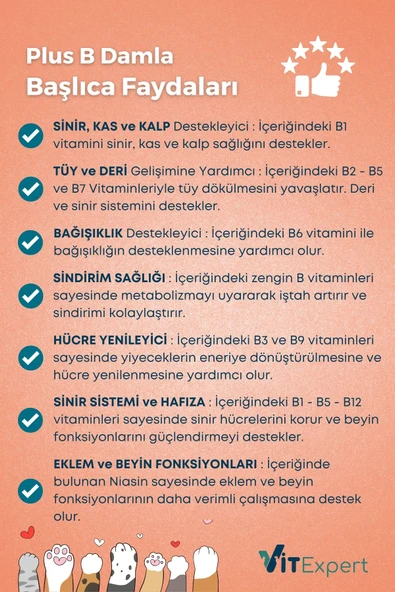 Vitexpert 2'li Set Bağışıklık Güçlendirici Damla + Malt Tüm Kediler İçin Bağışıklık Destekleyici Özel Paket - 6