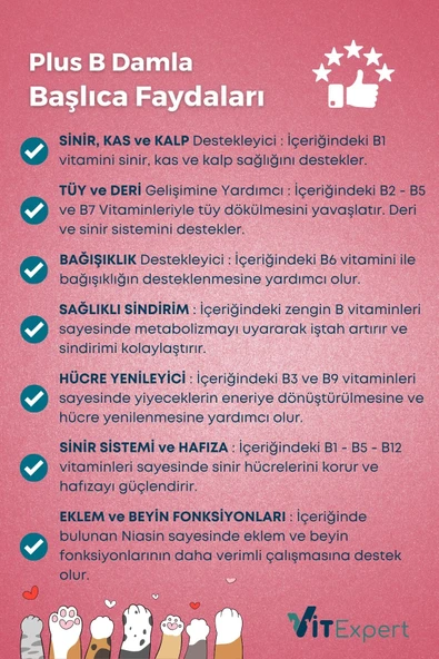 Vitexpert Plus B Hızlı Etkili Tüy Dökülmesi Önleyici Tüm Kediler Için Doğal Tüy Sağlığı Vitamin Damlası 50 ml - 4
