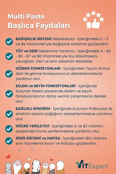 Vitexpert 2'li Set Sindirim Destekleyici Malt Macun Paketi Bağırsak Mide Sağlığı İçin Multi Vitamin Özel Paket - 6