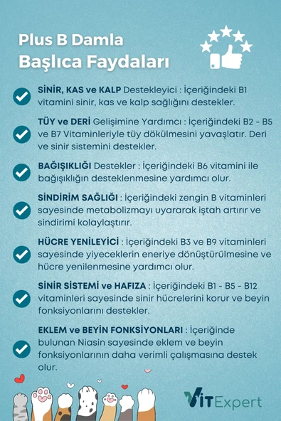 Vitexpert 2'li Bağışıklık Seti Balık Yağı + B Plus Damla Tüm Kediler İçin Bağışıklık Destekleyici Özel Paket - 6