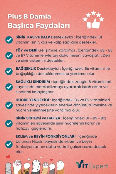 Vitexpert 2'li Set Süper Etkili Tüy Döküm Önleyici Paket Tüy Dökülmesi Önleyici & Engelleyici Damla Ve Malt - 6