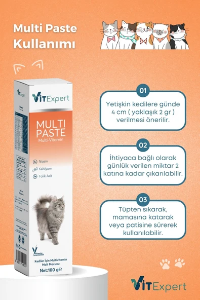 Vitexpert Multi Paste Tüm Kediler Için Multi Vitamin Bağışıklık Ve Tüy Sağlığı Destekleyici Malt Macun 100 Gr - 4