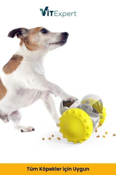 Vitexpert Yeni Nesil Köpek İnteraktif Mama Dağıtıcı Oyun Topu Mama Saklamalı Otomatik Ödül Maması Atıcı Robot - 8