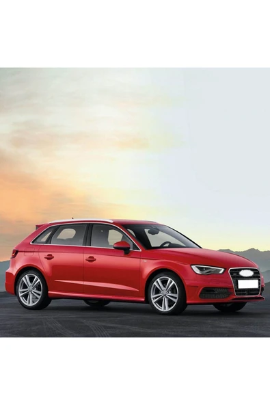 MANN Audi A3 Sportback 2013-2016 Uyumlu Dizel Hava Yağ Yakıt Polen Filtre Set Mann - Resim 2