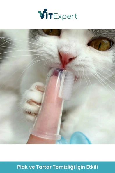Vitexpert 2 Adet Saklama Kutulu Kedi ve Köpek Diş Fırçası Evcil Hayvan İçin Yumuşak Silikon Parmak Diş Fırçası - 5