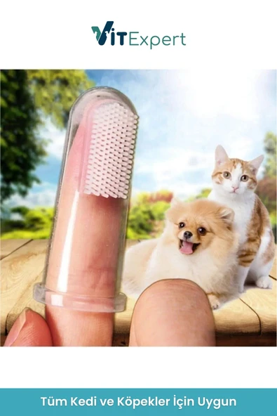 Vitexpert 2 Adet Saklama Kutulu Kedi ve Köpek Diş Fırçası Evcil Hayvan İçin Yumuşak Silikon Parmak Diş Fırçası - 2