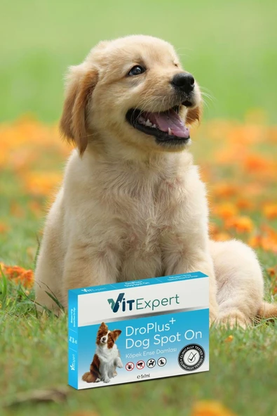 Vitexpert Droplus Köpek Damlası Dış Parazit Pire Kene Bit Ve Deri Bakımı Için Bitkisel Damla - 5 Tüp - 8