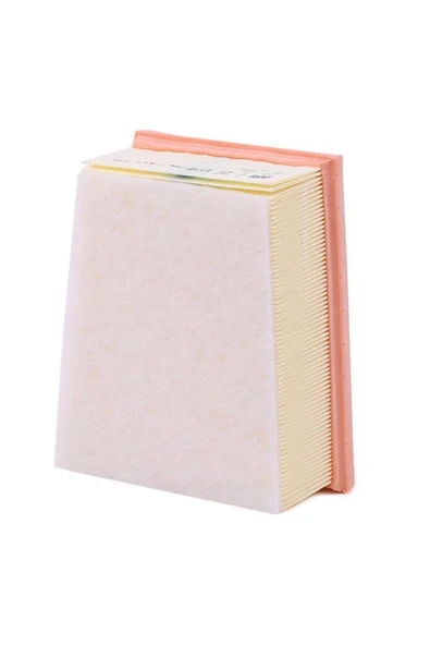 MANN C22014-HAVA FİLTRESİ RENAULT TALISMAN 1.6 DCI  165468296R - Resim 2