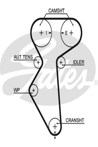 GATES 5419xs Kayis Triger-127-250-(CHEVROLET: KALOS 02-10 1.4 16V/LACETTİ 96183352 96814098 (WF119584) ürün görseli