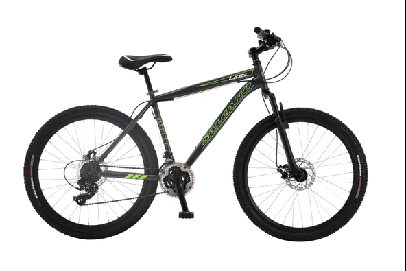 Salcano Lion 24 MD Disk Fren 21 Vites 24 Jant Dağ Bisikleti Siyah Yeşil ürün görseli