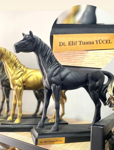 Kişiye Özel İsim Veya Markanızı Yazılabilir Dekoratif At Büst Büyük Boy Heykeli Kaideli