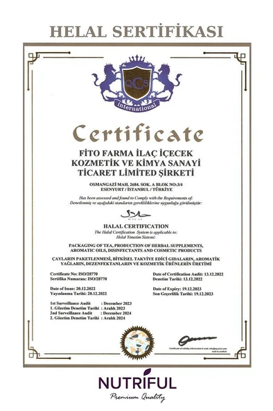Nutriful İbni Sina Sirkengebin Prebiyotik-Probiyotik Diyet Macunu 2 li Fırsat Paketi - 240 Gr - 2