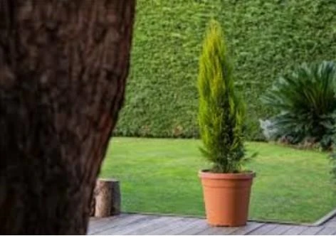 Omnipazar SO-VHS7 Dekoratif Vaha Saksı İç ve Dış Mekan 31 Litre No 7 - Resim 7