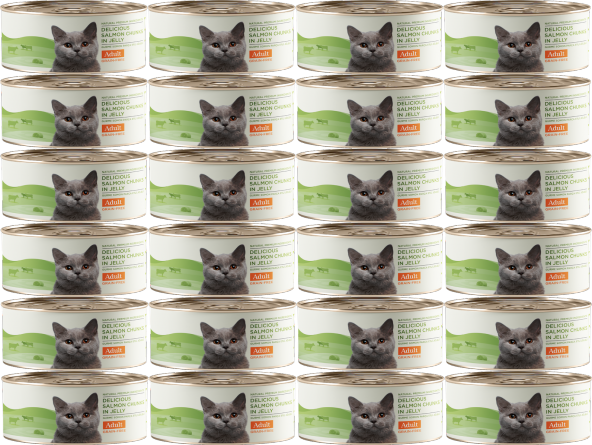 Kito Gurme Somon Parça Etli Jöleli Konserve Yetişkin Kedi Maması 24 x 100 G