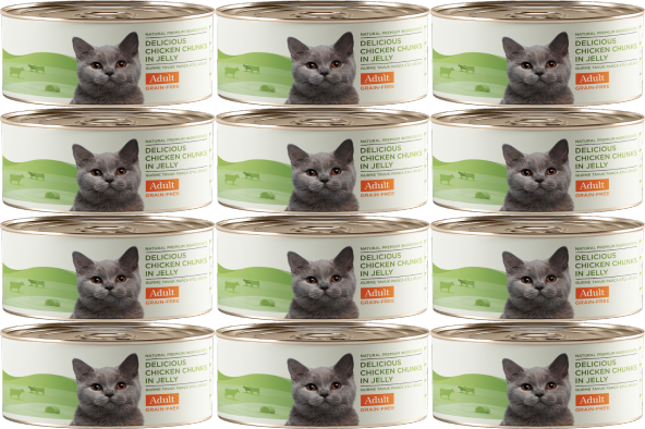 Kito Gurme Tavuk Parça Etli Jöleli Konserve Yetişkin Kedi Maması 12 x 100 G