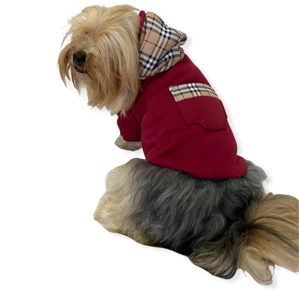 Bb Limited Bordo Kapşonlu Köpek Sweatshirt - 2