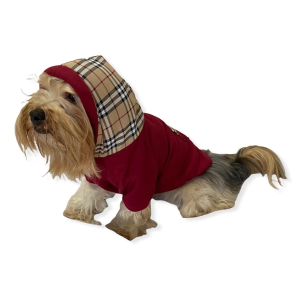 Bb Limited Bordo Kapşonlu Köpek Sweatshirt - 3